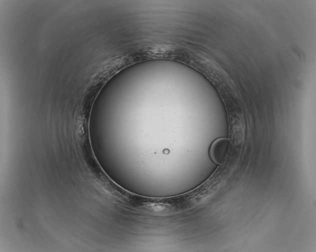 X0000112740654200909031507