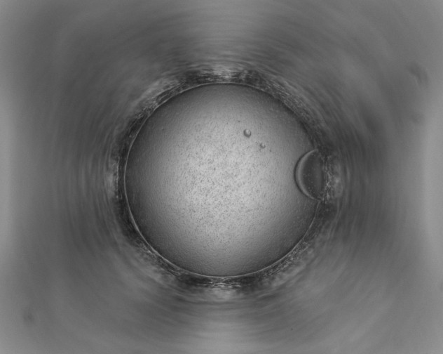 X0000112740656200909031507