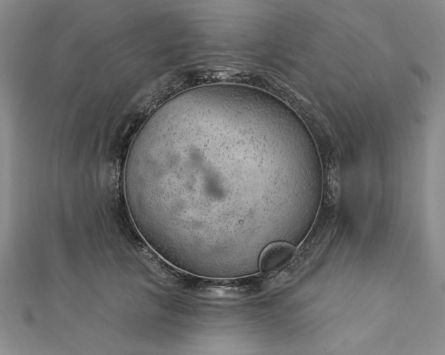 X0000112740657200909031507