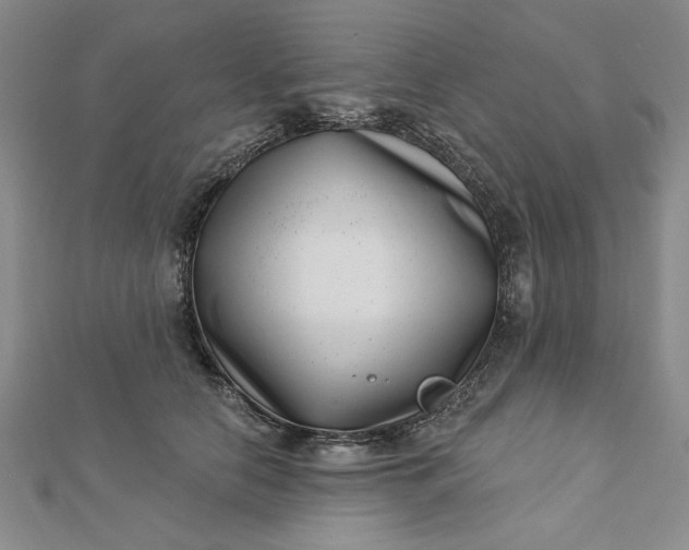 X0000112740658200909031507