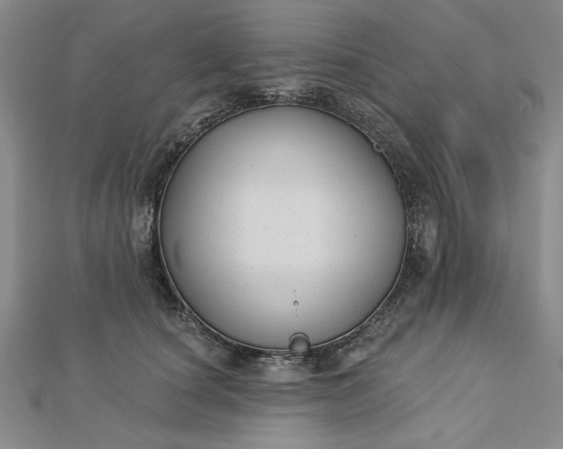 X0000112740660200909031507