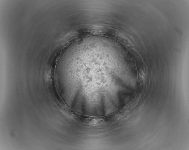 X0000112740663200909031507