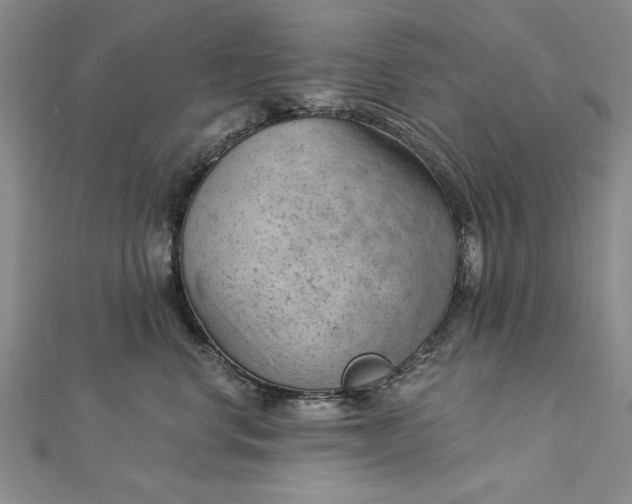 X0000112740668200909031507