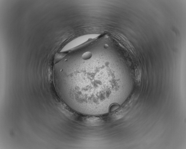 X0000112740669200909031507