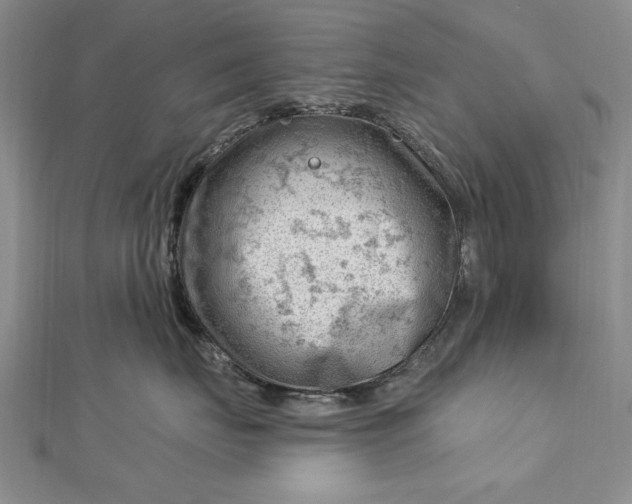 X0000112740671200909031507