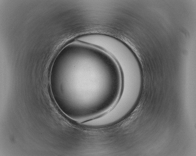 X0000112740673200909031507