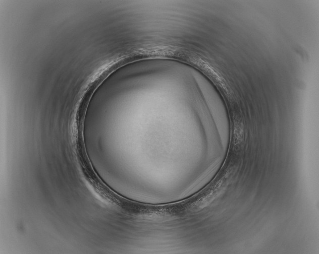 X0000112740674200909031507