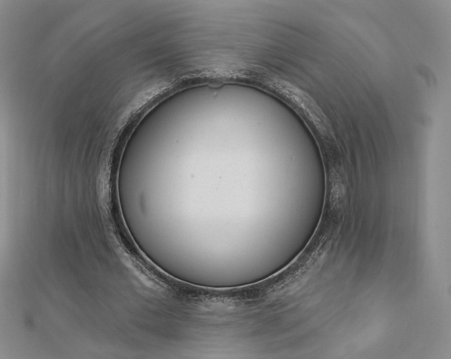 X0000112740677200909031506