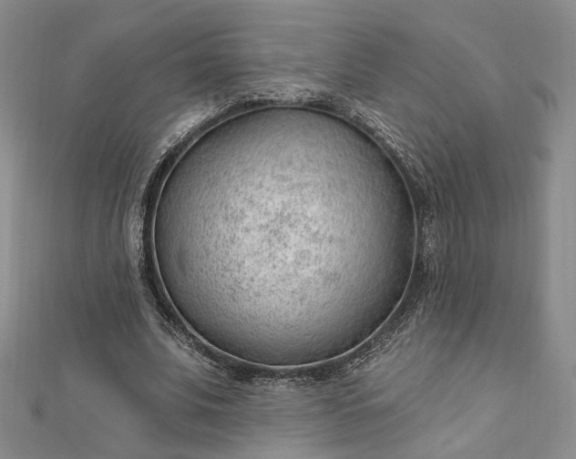 X0000112740679200909031506