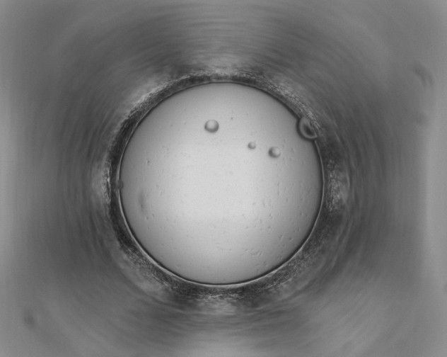 X0000112740680200909031506