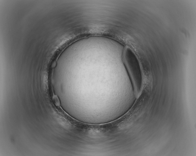 X0000112740684200909031506