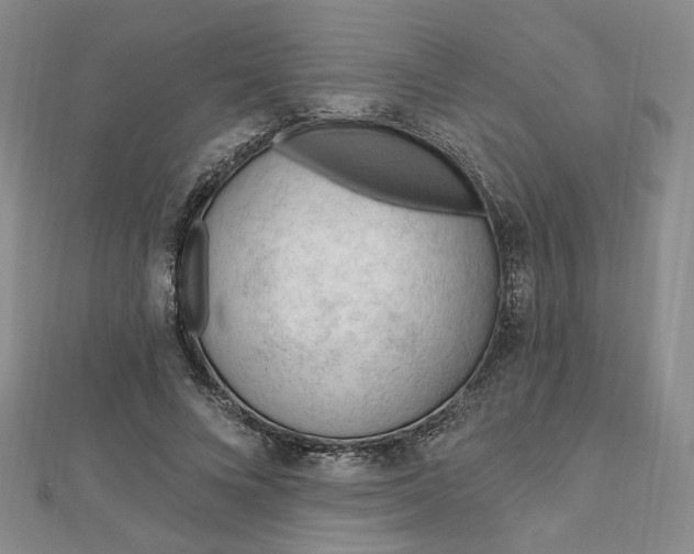 X0000112740688200909031506