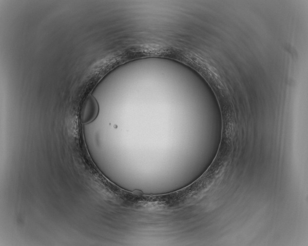 X0000112740689200909031506