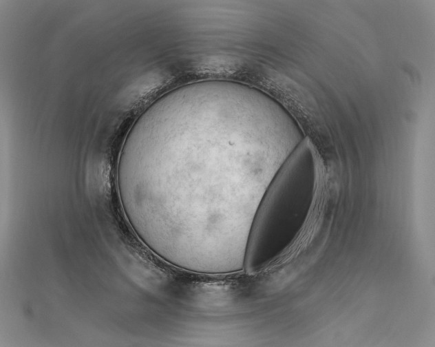 X0000112740692200909031506