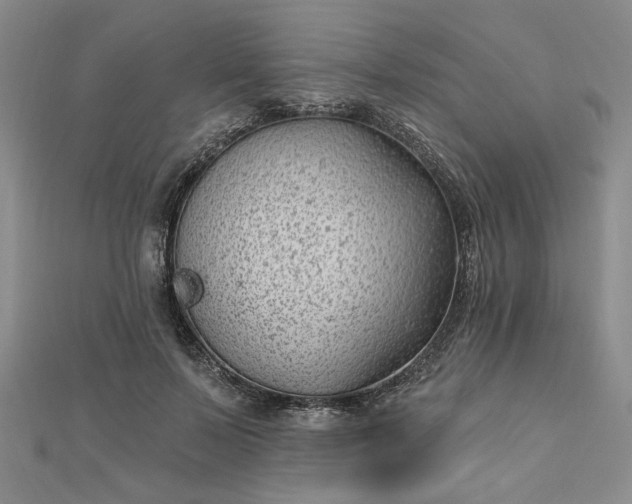 X0000112740695200909031506