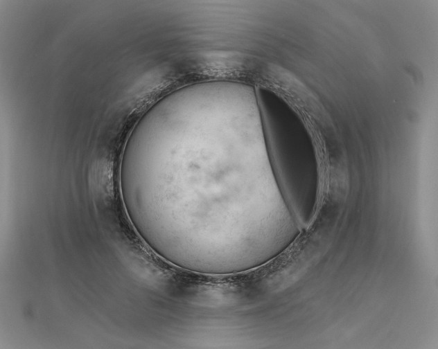 X0000112740696200909031506