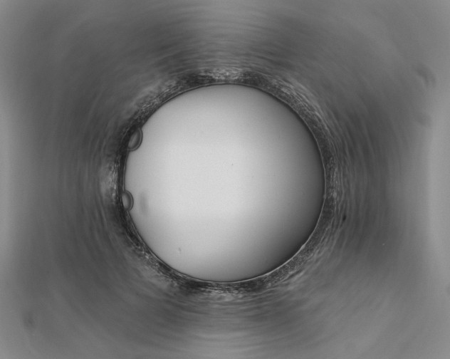 X0000112740697200909031506