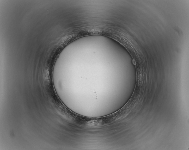 X0000112740700200909031506