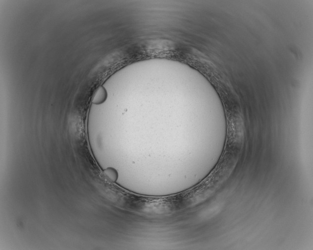 X0000112740705200909031506