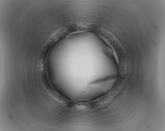 X0000112740706200909031506