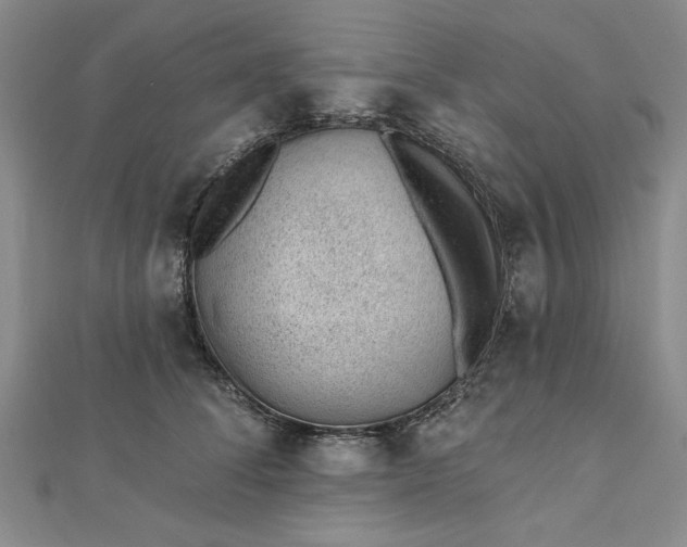 X0000112740708200909031506