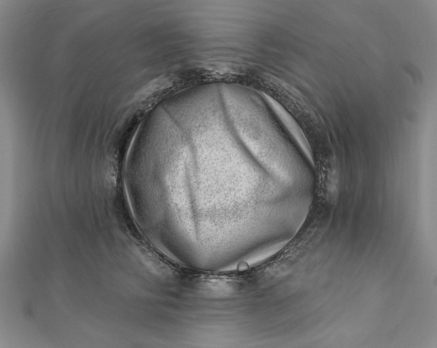 X0000112740710200909031506