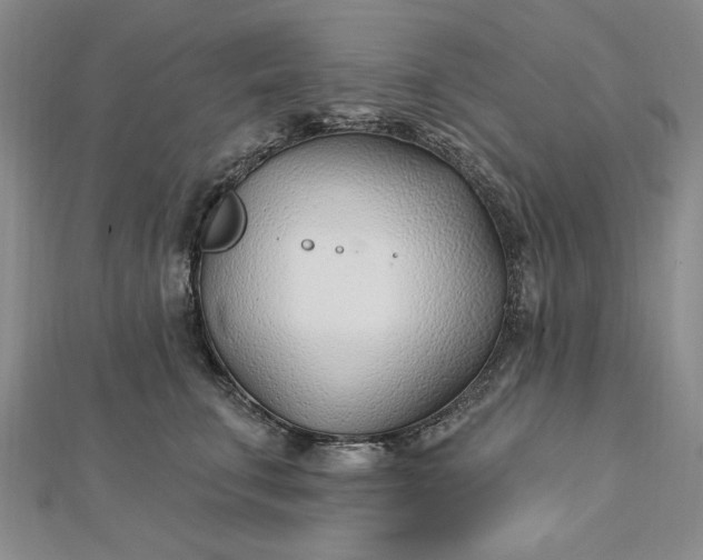 X0000112740711200909031506