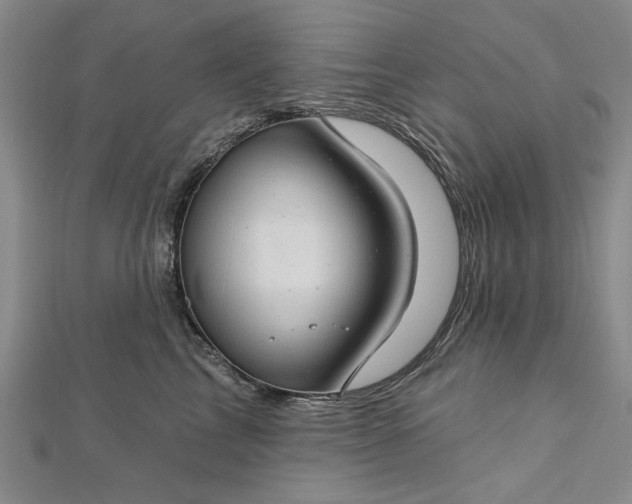 X0000112740713200909031506