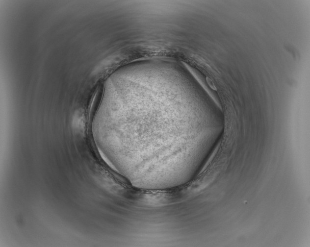 X0000112740720200909031506