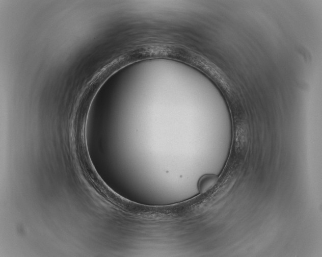 X0000112740722200909031505