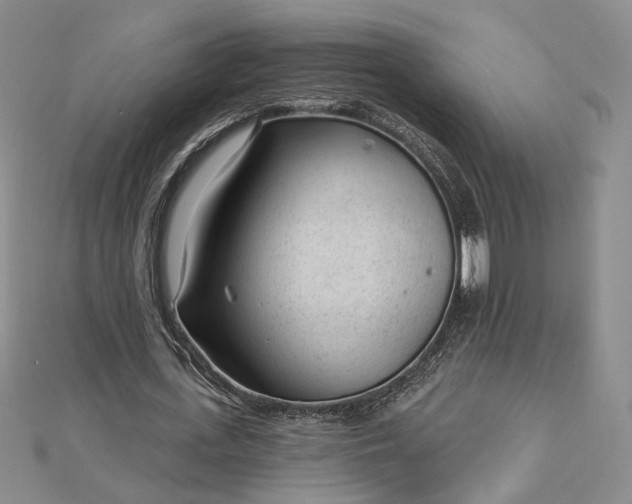 X0000112740723200909031505