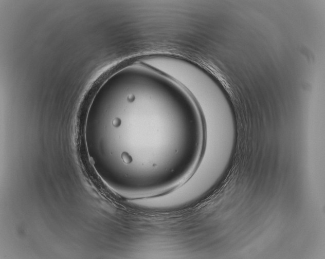 X0000112740724200909031505