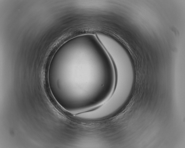 X0000112740725200909031505