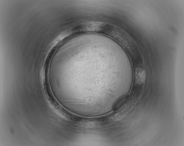 X0000112740726200909031505