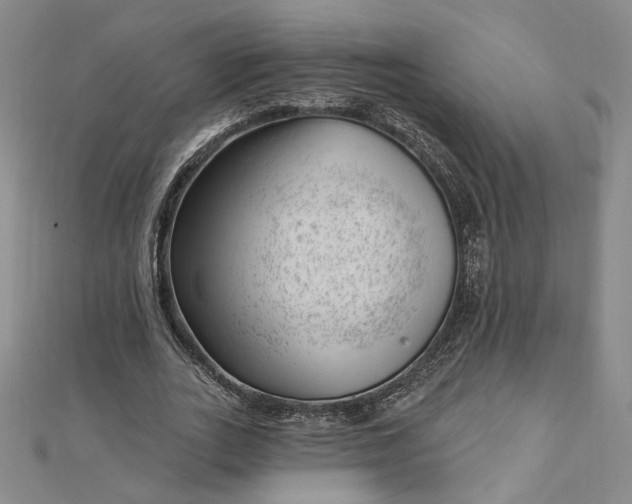 X0000112740727200909031505