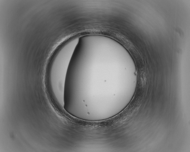 X0000112740728200909031505