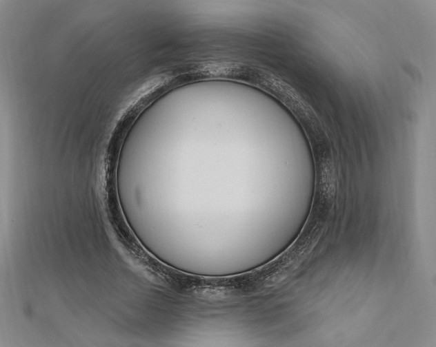 X0000112740730200909031505