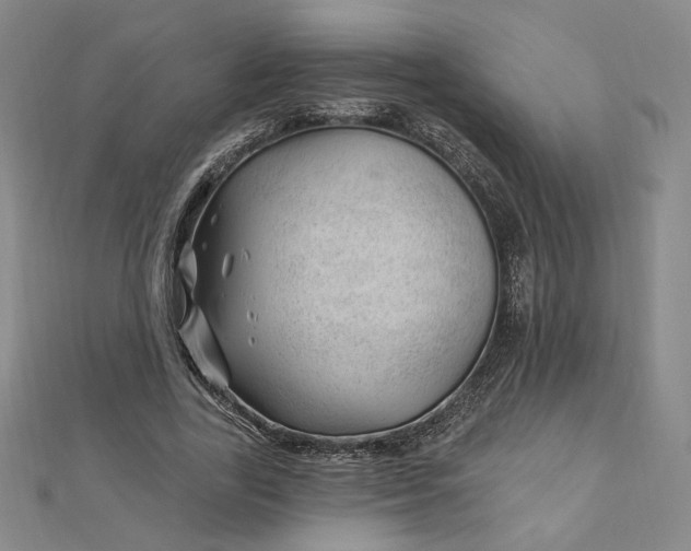 X0000112740731200909031505