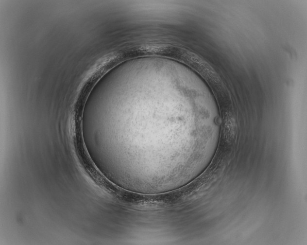 X0000112740734200909031505