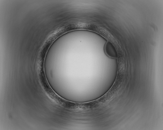 X0000112740736200909031505