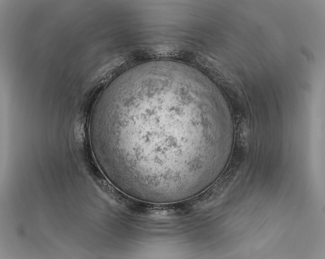 X0000112740746200909031506