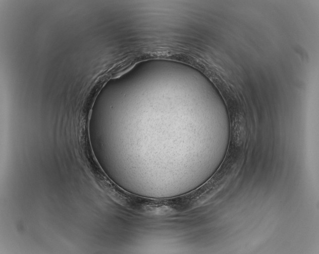 X0000112740747200909031506