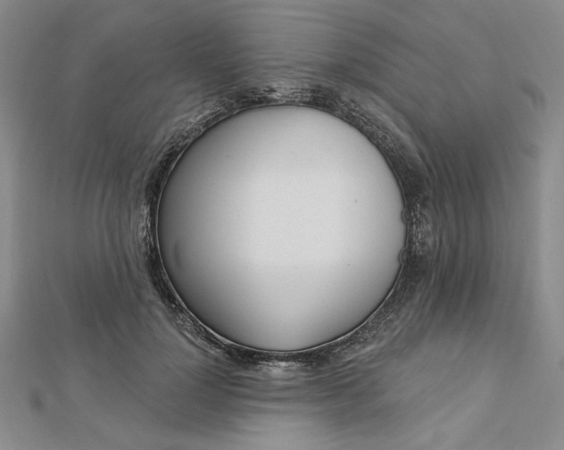 X0000112740748200909031506