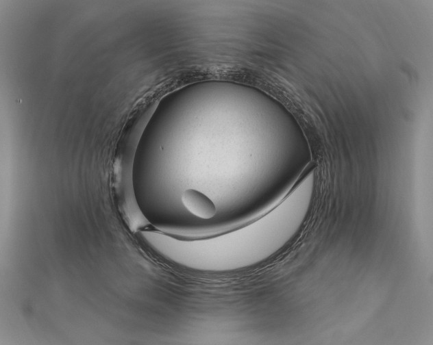 X0000112740750200909031506