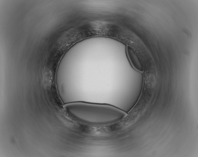 X0000112740752200909031506