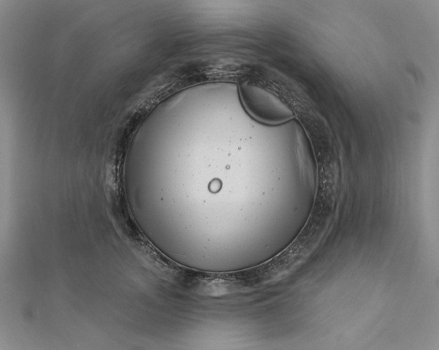 X0000112740755200909031506