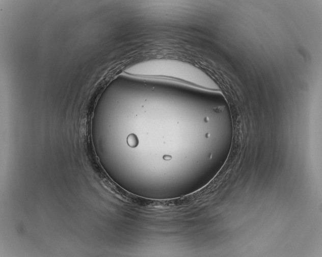 X0000112740756200909031506