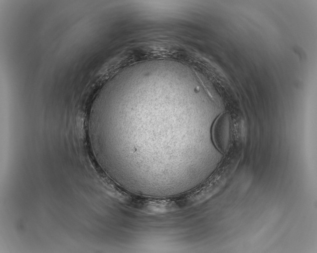 X0000112740757200909031506