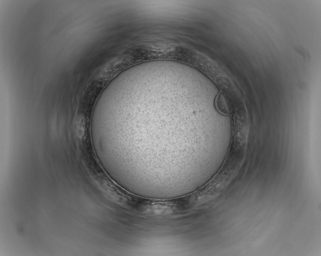 X0000112740758200909031506