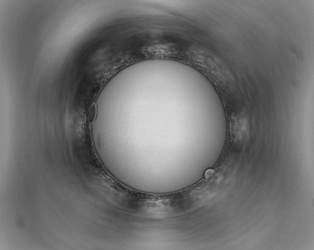 X0000112740760200909031506